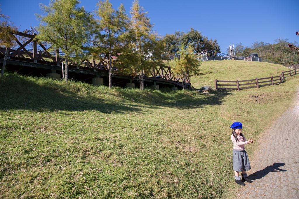 HY6A4203.jpg HY6A4203.jpg