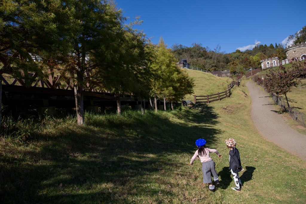 HY6A4232.jpg HY6A4232.jpg