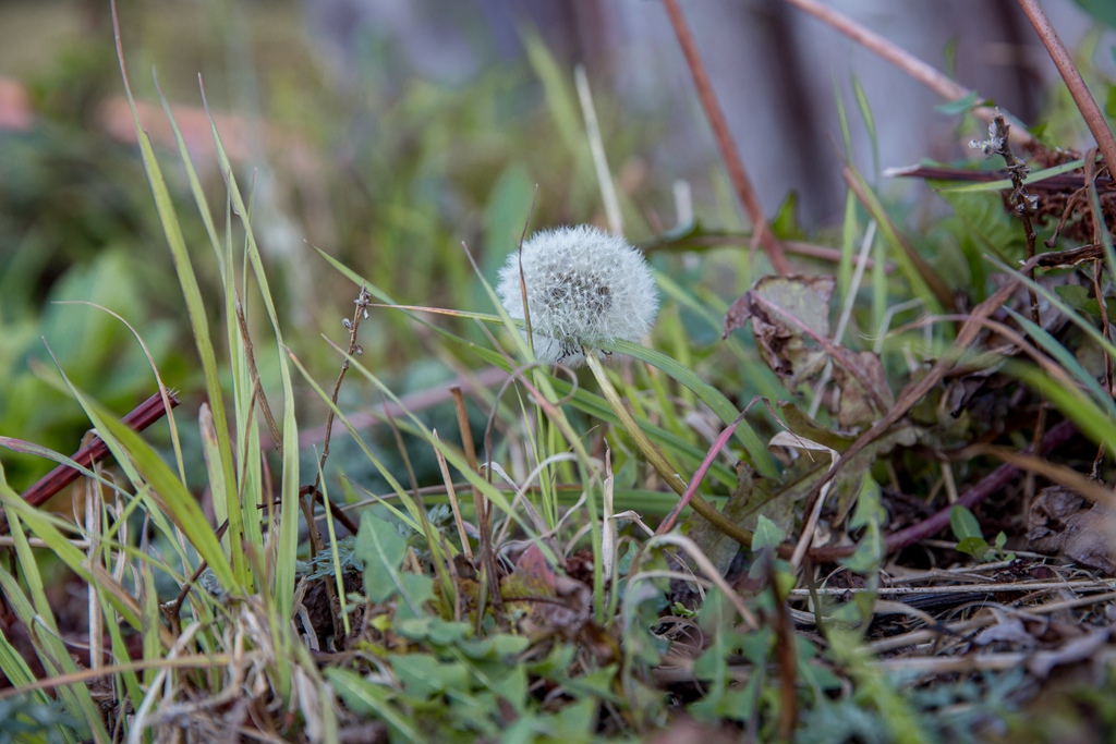 HY6A4337.jpg HY6A4337.jpg