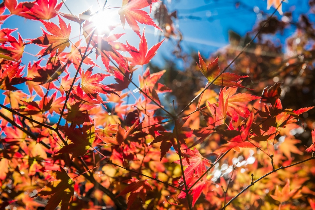 HY6A4459.jpg HY6A4459.jpg