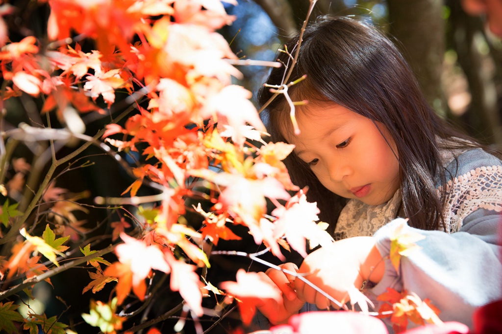 HY6A4514.jpg HY6A4514.jpg