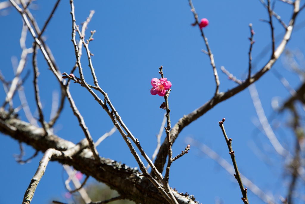 HY6A4545.jpg HY6A4545.jpg