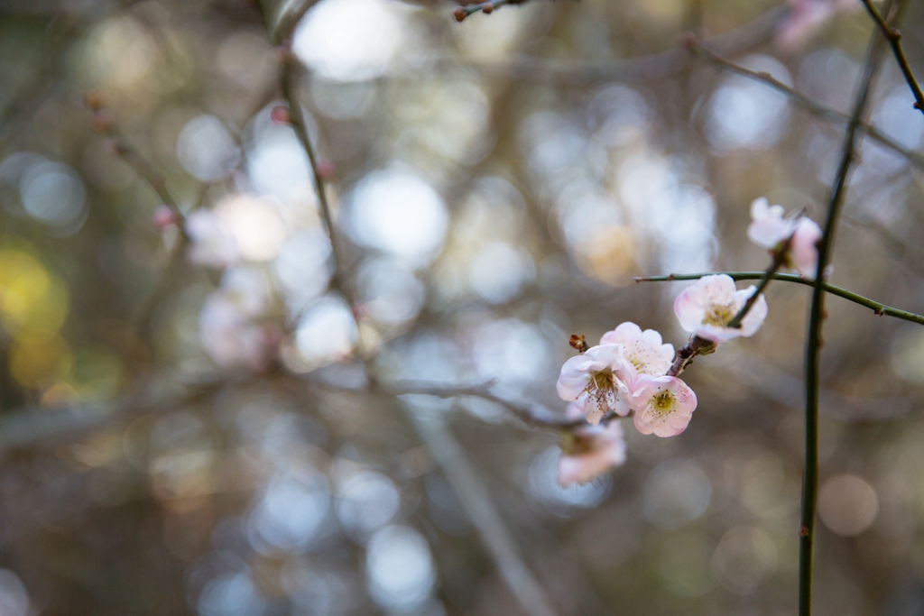 HY6A4551.jpg HY6A4551.jpg