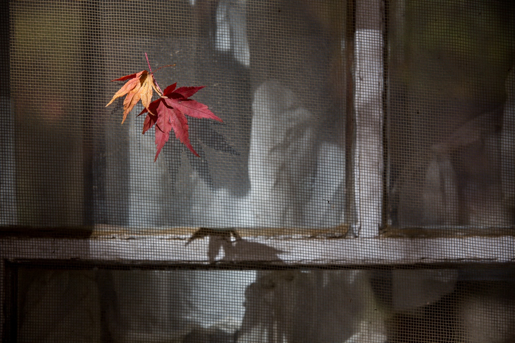 HY6A4575.jpg HY6A4575.jpg