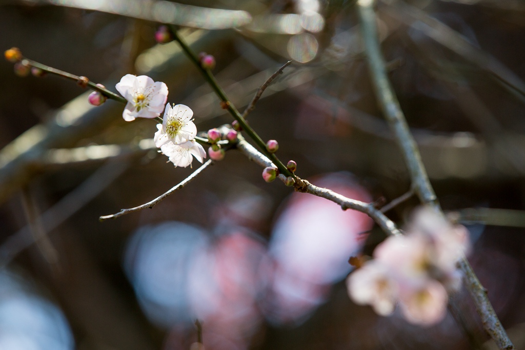 HY6A4583.jpg HY6A4583.jpg