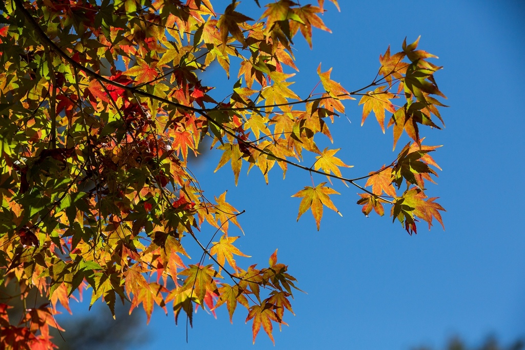 HY6A4590.jpg HY6A4590.jpg