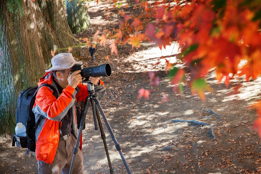 HY6A4600.jpg HY6A4600.jpg