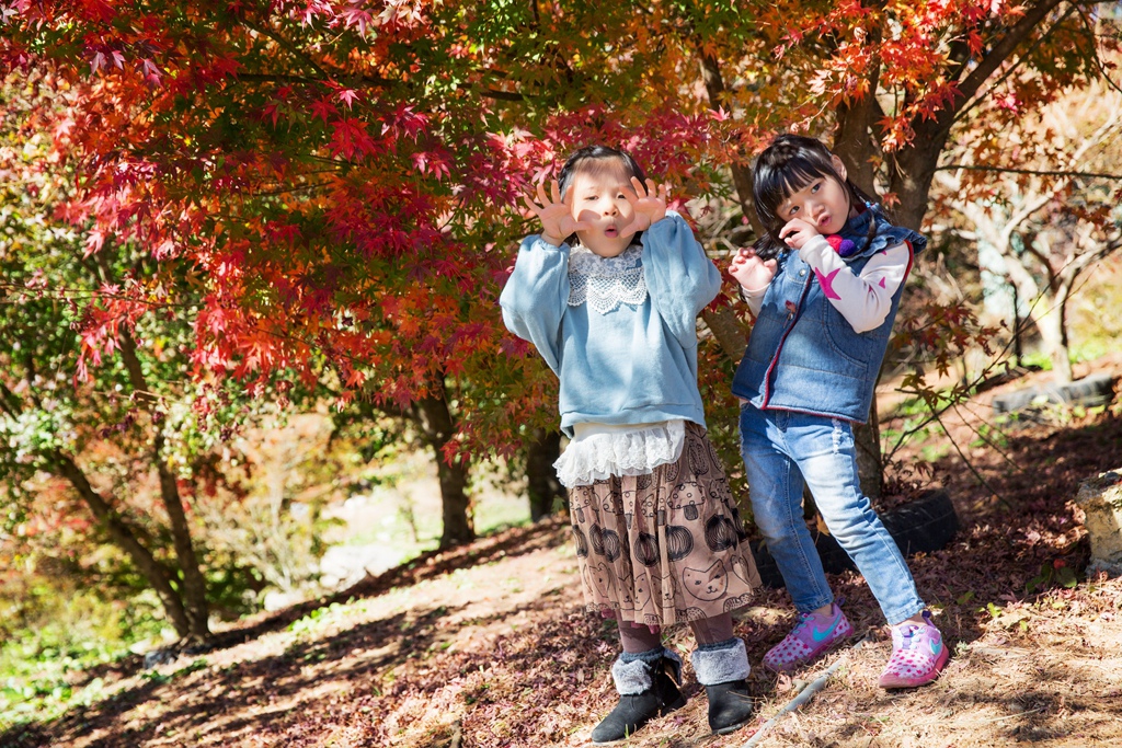 HY6A4627.jpg HY6A4627.jpg