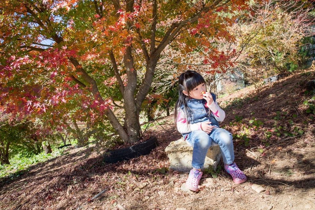 HY6A4663.jpg HY6A4663.jpg