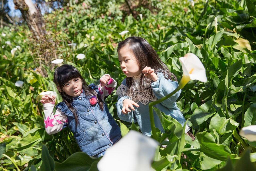 HY6A4713.jpg HY6A4713.jpg