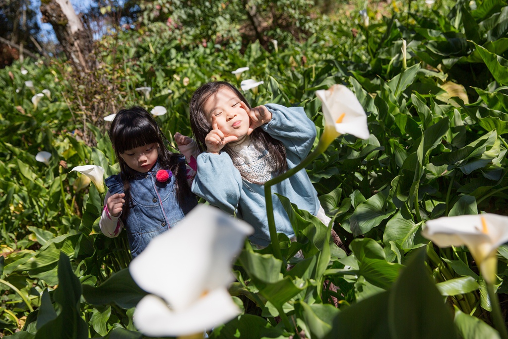 HY6A4726.jpg HY6A4726.jpg