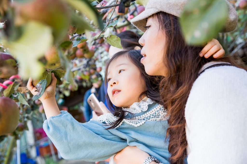 HY6A4781.jpg HY6A4781.jpg