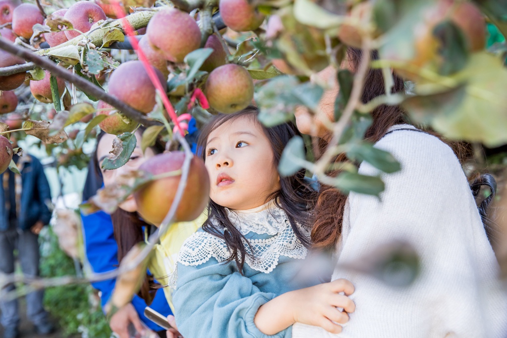 HY6A4784.jpg HY6A4784.jpg