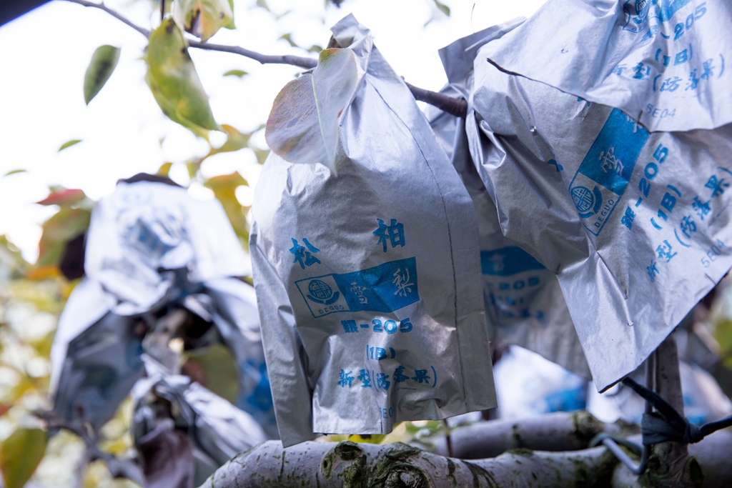 HY6A4809.jpg HY6A4809.jpg