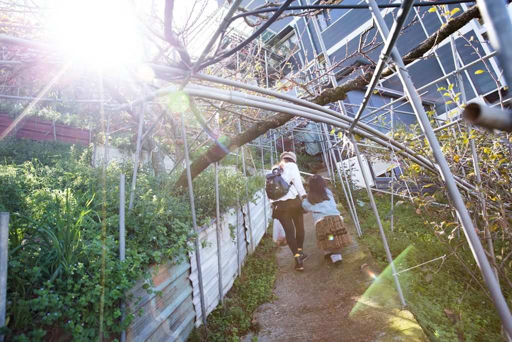 HY6A4811.jpg HY6A4811.jpg