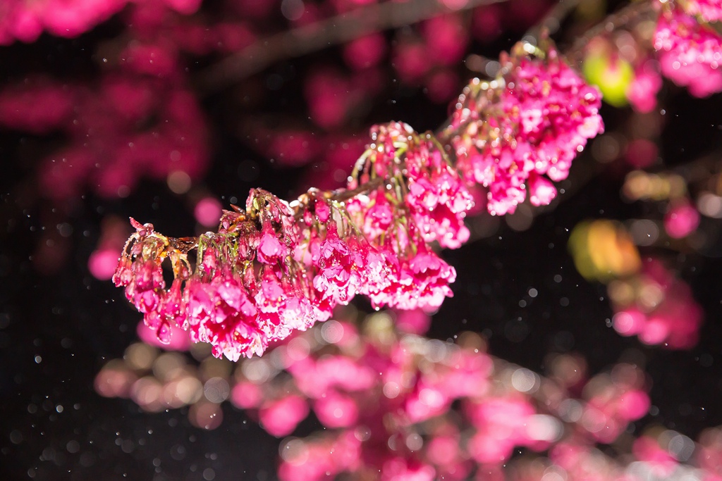 2016-01-24-20h35m36.jpg 2016-01-24-20h35m36.jpg