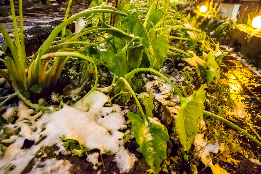 2016-01-24-21h03m40.jpg 2016-01-24-21h03m40.jpg