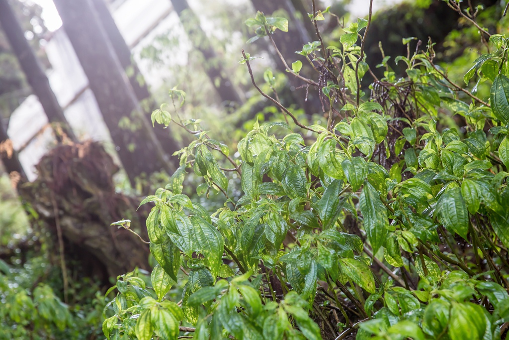 2016-01-25-09h26m35.jpg 2016-01-25-09h26m35.jpg