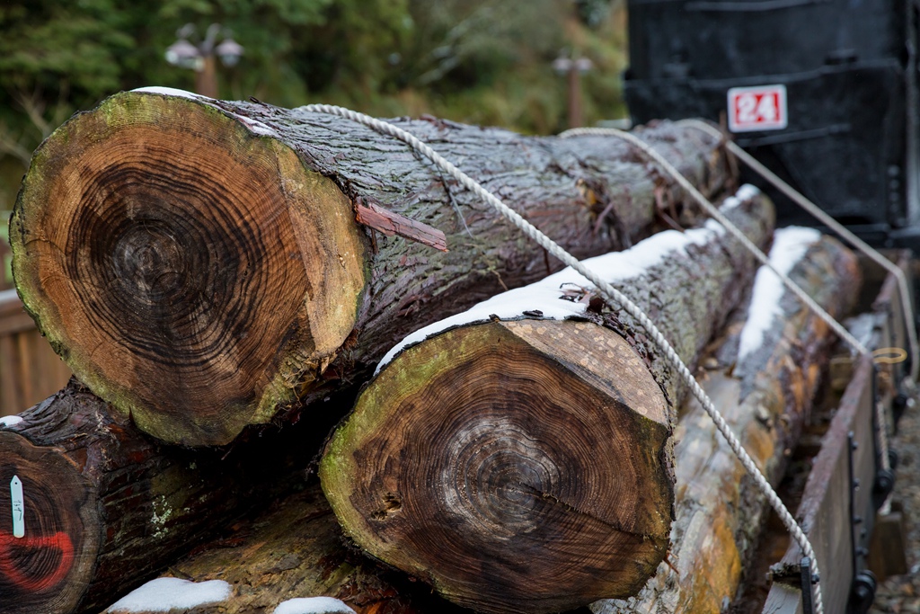 2016-01-25-11h04m50.jpg 2016-01-25-11h04m50.jpg