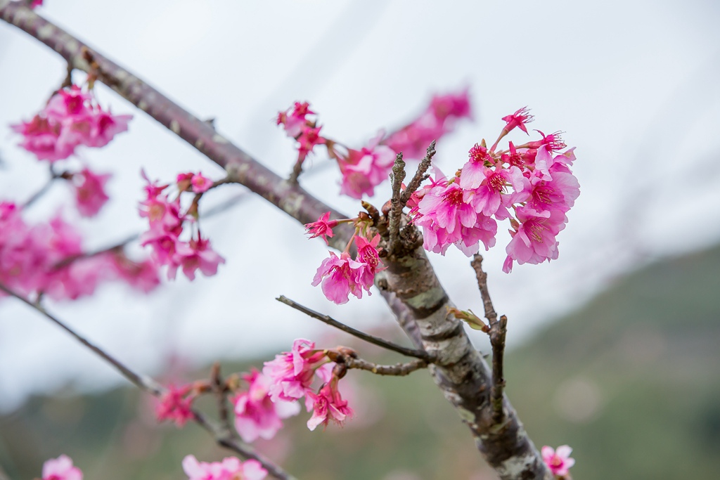 2016-01-25-15h56m07.jpg 2016-01-25-15h56m07.jpg