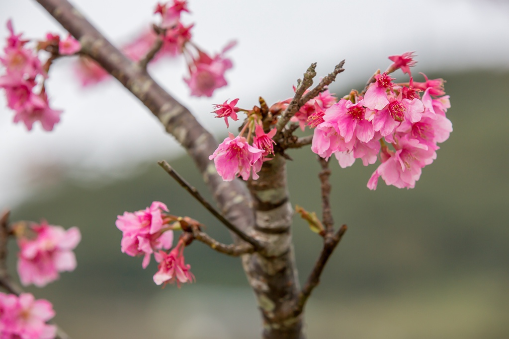 2016-01-25-15h56m16.jpg 2016-01-25-15h56m16.jpg