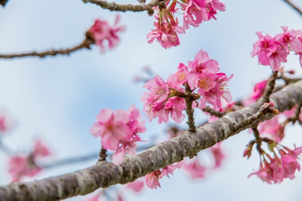 2016-01-25-15h59m21.jpg 2016-01-25-15h59m21.jpg