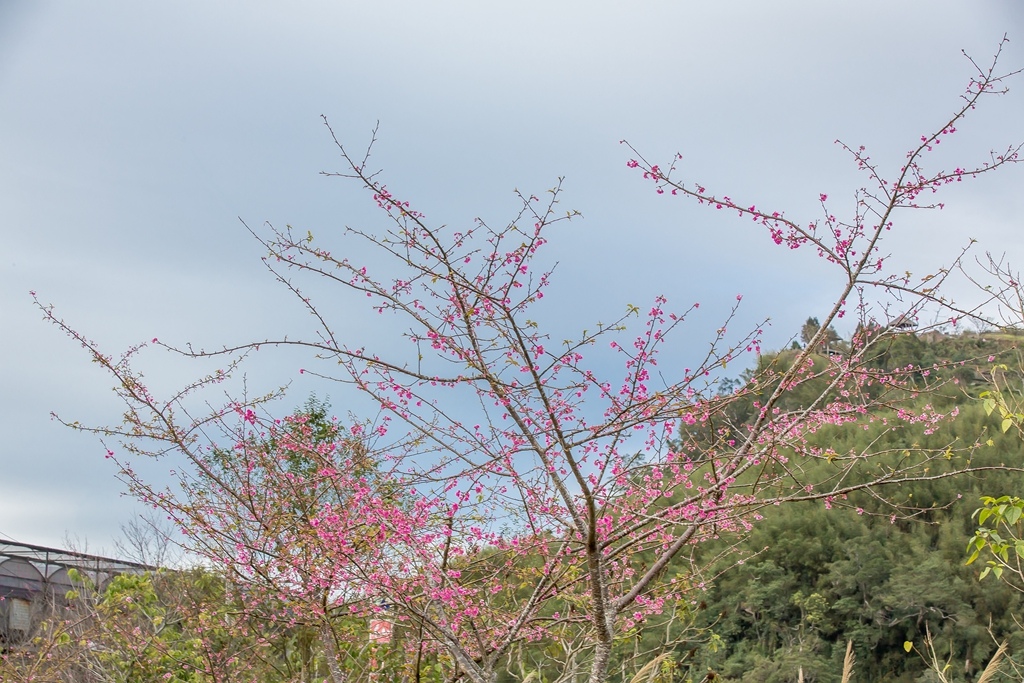 2016-01-25-16h01m59.jpg 2016-01-25-16h01m59.jpg