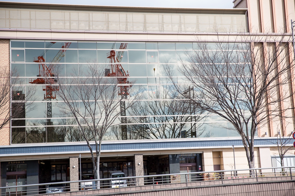 IMG_8247.jpg IMG_8247.jpg