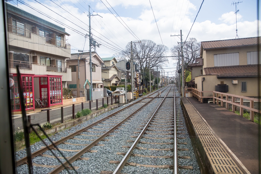 IMG_8319.jpg IMG_8319.jpg