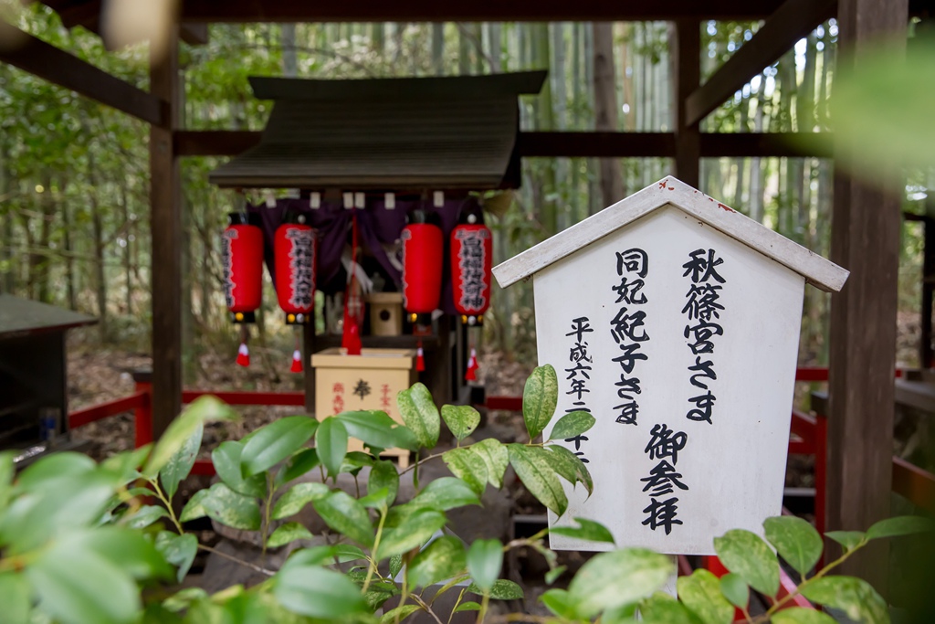 IMG_8393.jpg IMG_8393.jpg