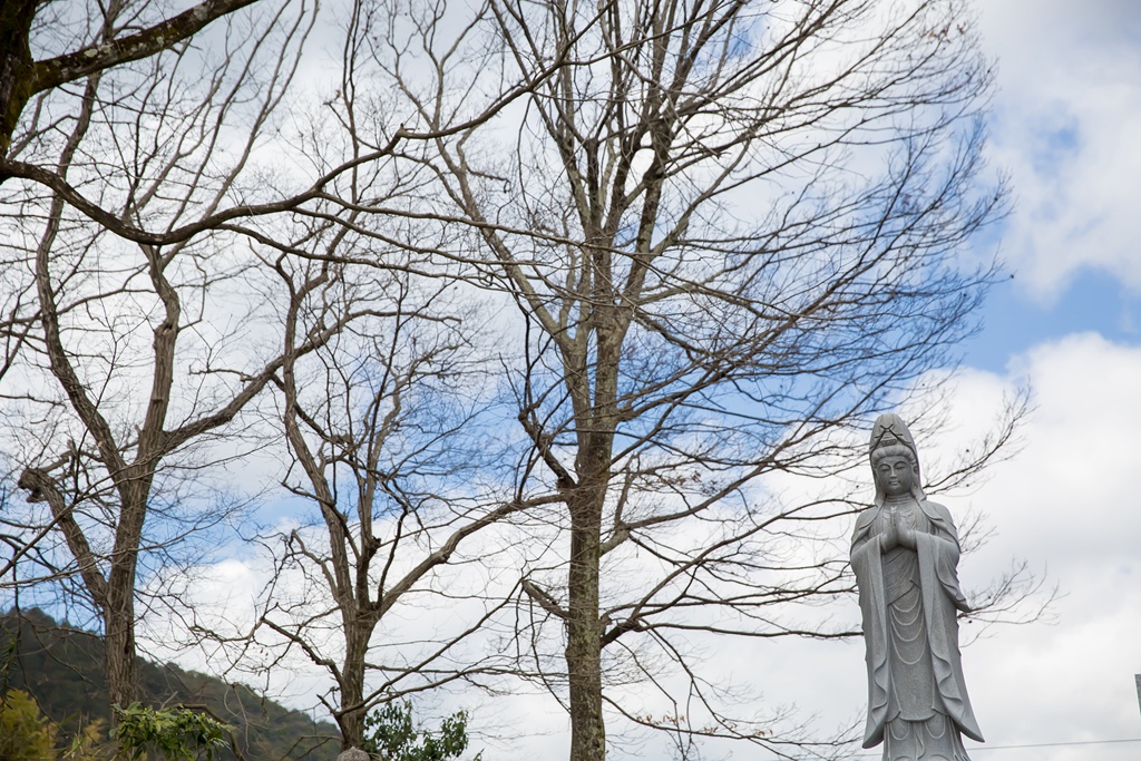 IMG_8412.jpg IMG_8412.jpg