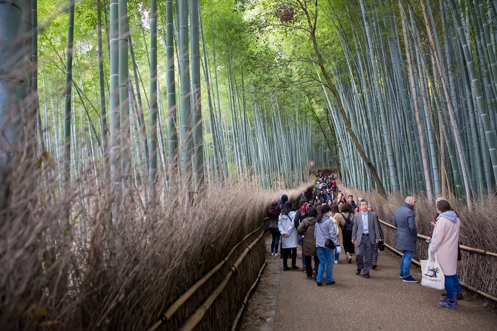 IMG_8414.jpg IMG_8414.jpg