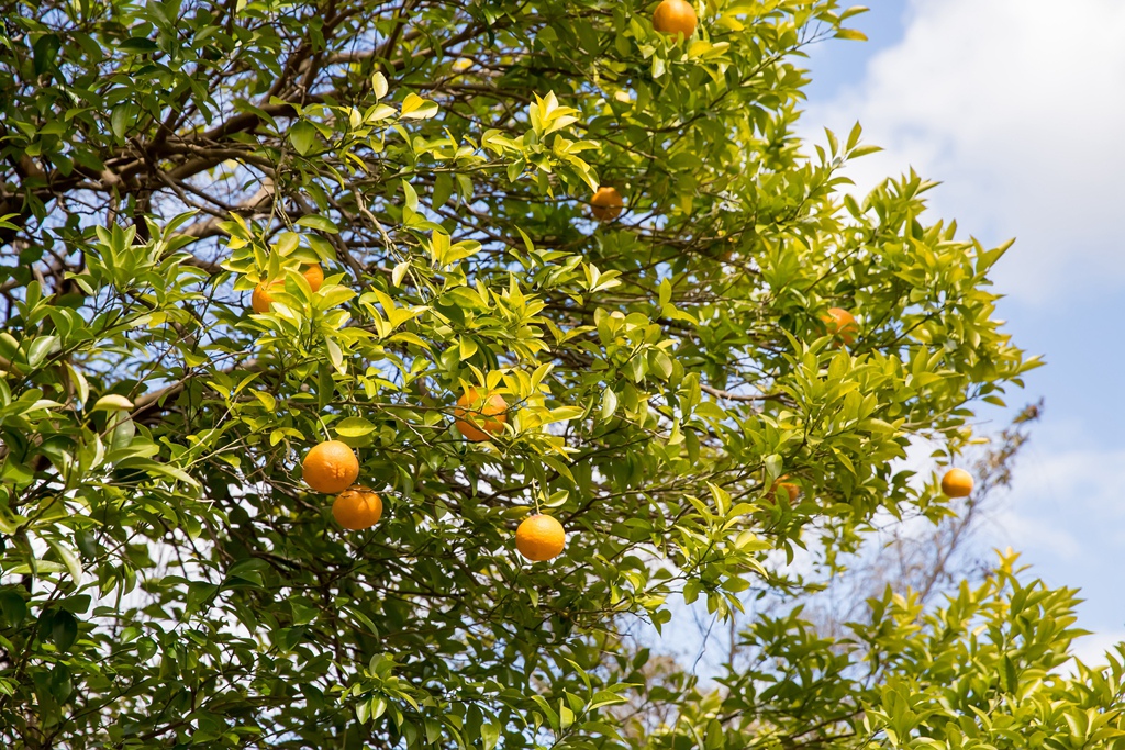 IMG_8451.jpg IMG_8451.jpg