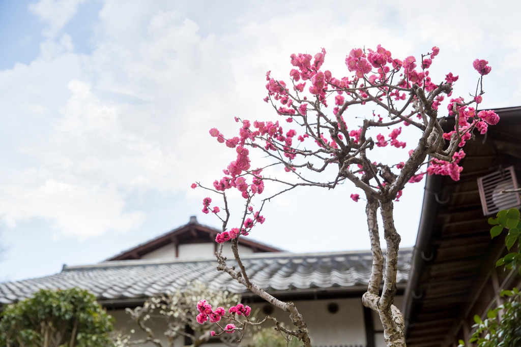 IMG_8460.jpg IMG_8460.jpg