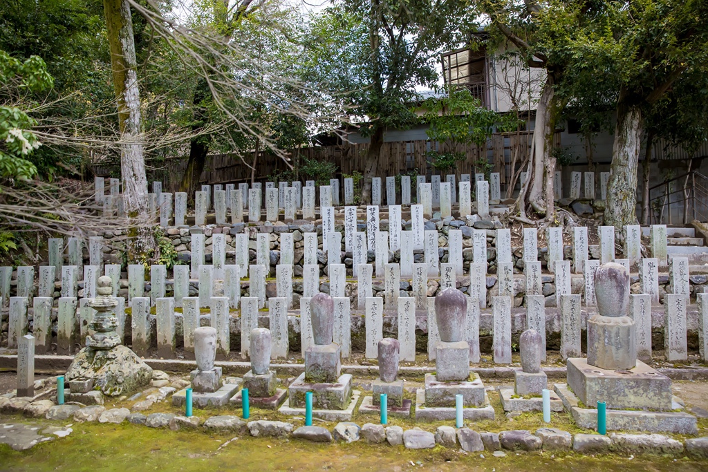 IMG_8488.jpg IMG_8488.jpg