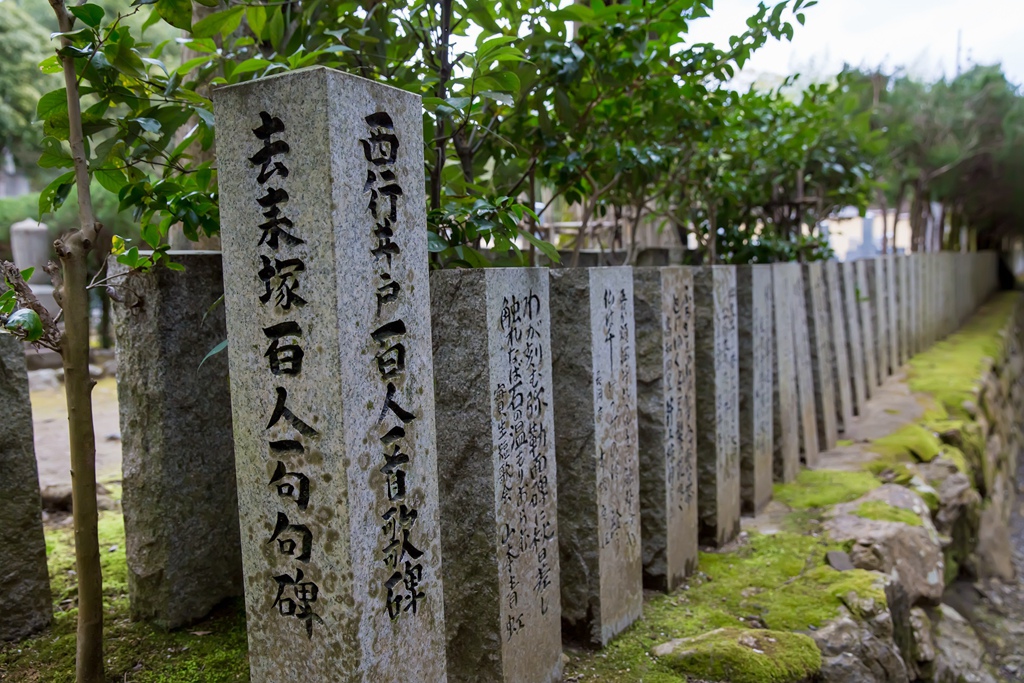 IMG_8489.jpg IMG_8489.jpg