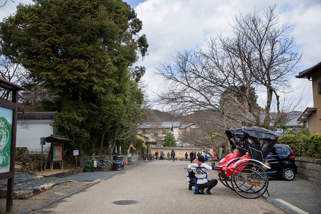 IMG_8494.jpg IMG_8494.jpg