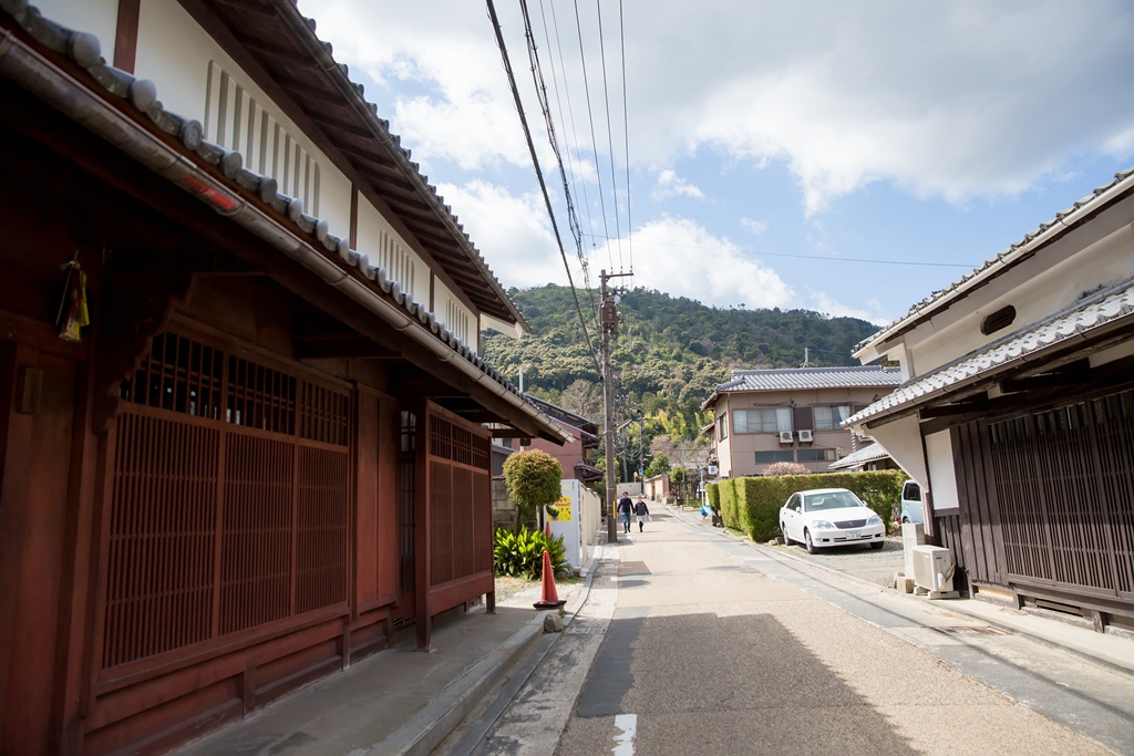 IMG_8534.jpg IMG_8534.jpg