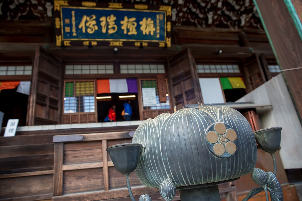 IMG_8570.jpg IMG_8570.jpg