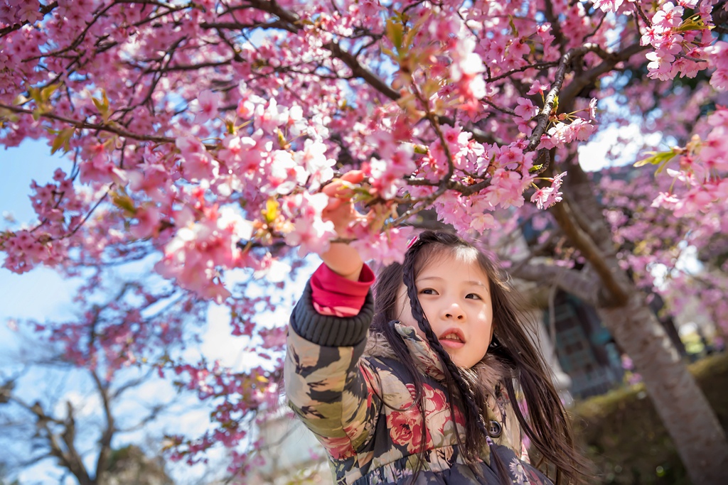 IMG_8596.jpg IMG_8596.jpg