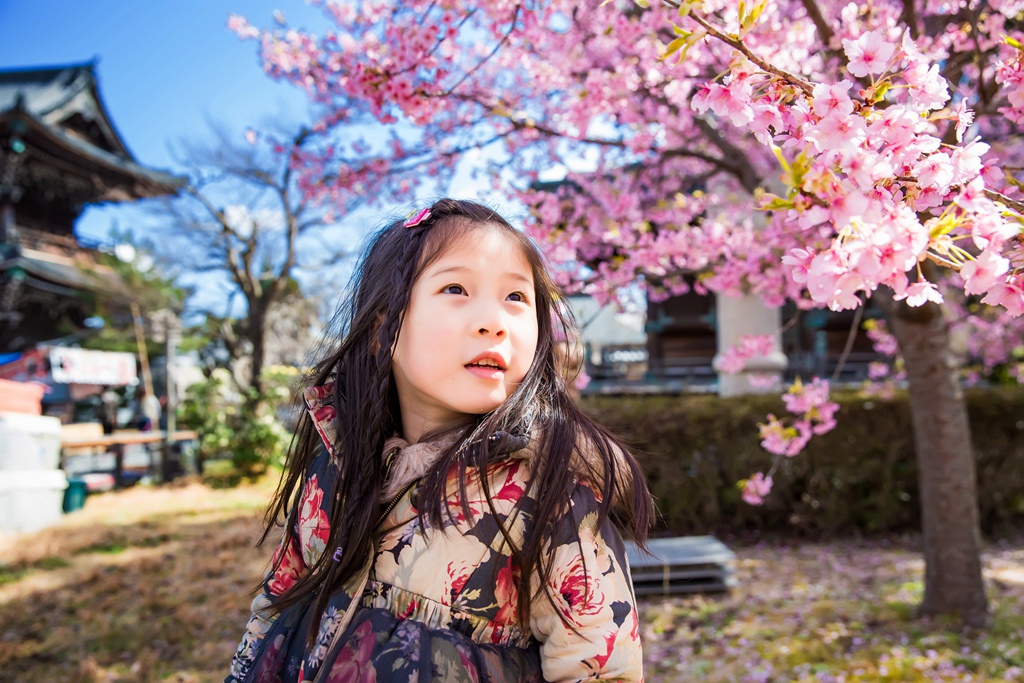 IMG_8598.jpg IMG_8598.jpg