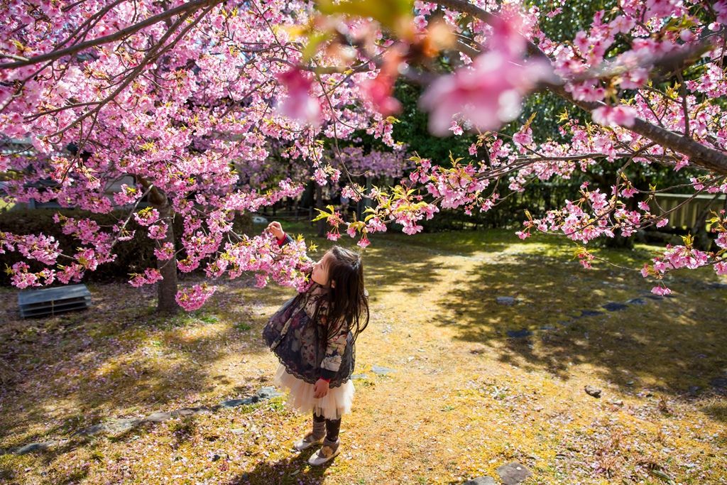 IMG_8618.jpg IMG_8618.jpg