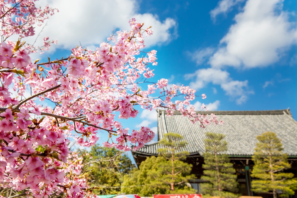 IMG_8629.jpg IMG_8629.jpg