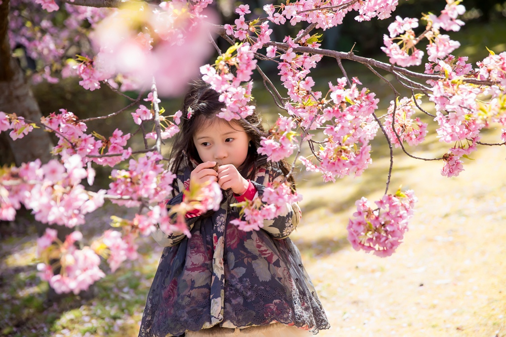 IMG_8633.jpg IMG_8633.jpg