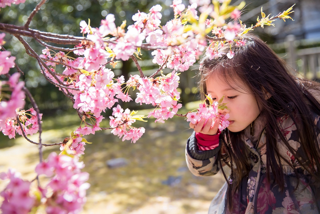 IMG_8637.jpg IMG_8637.jpg