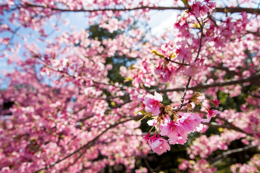 IMG_8641.jpg IMG_8641.jpg