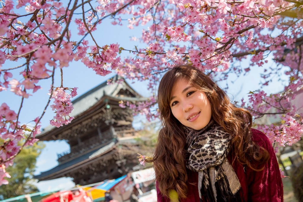 IMG_8665.jpg IMG_8665.jpg