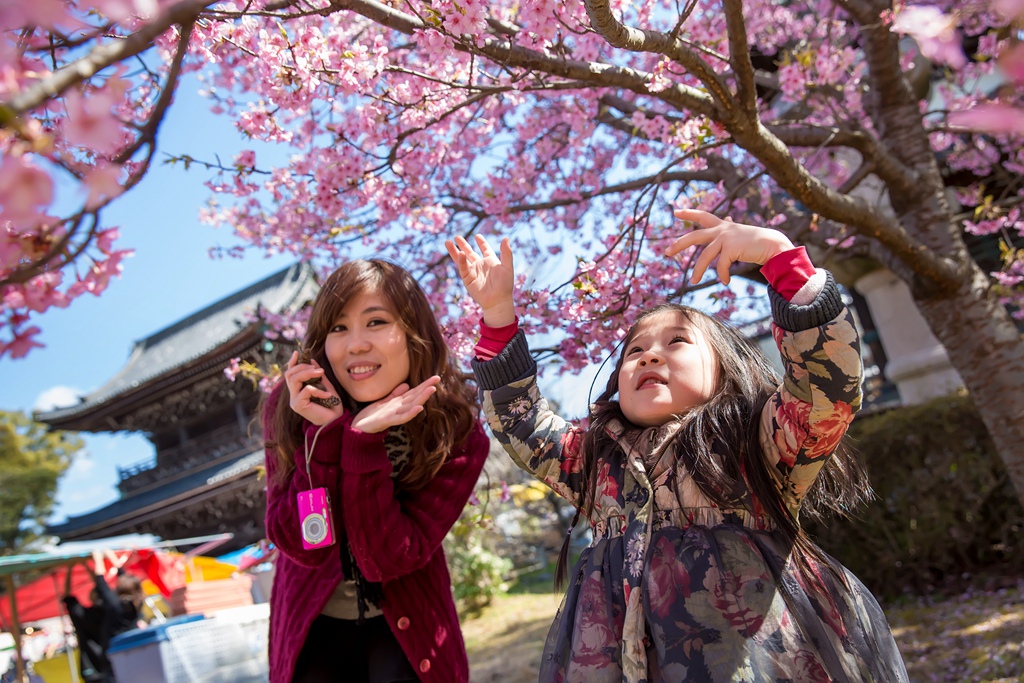 IMG_8668.jpg IMG_8668.jpg