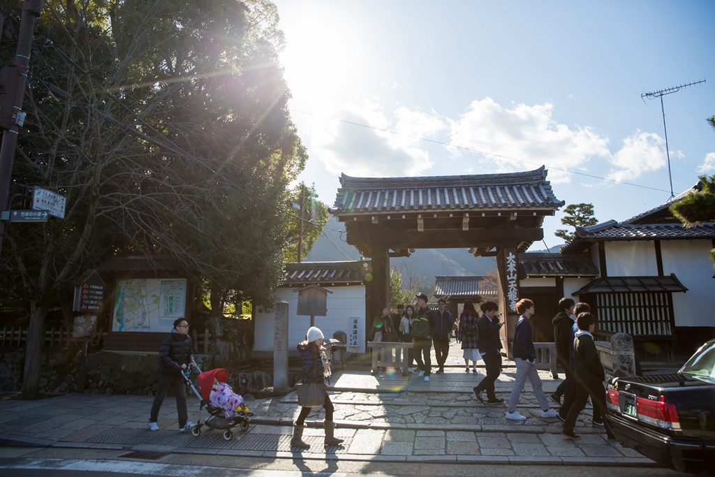 IMG_8808.jpg IMG_8808.jpg