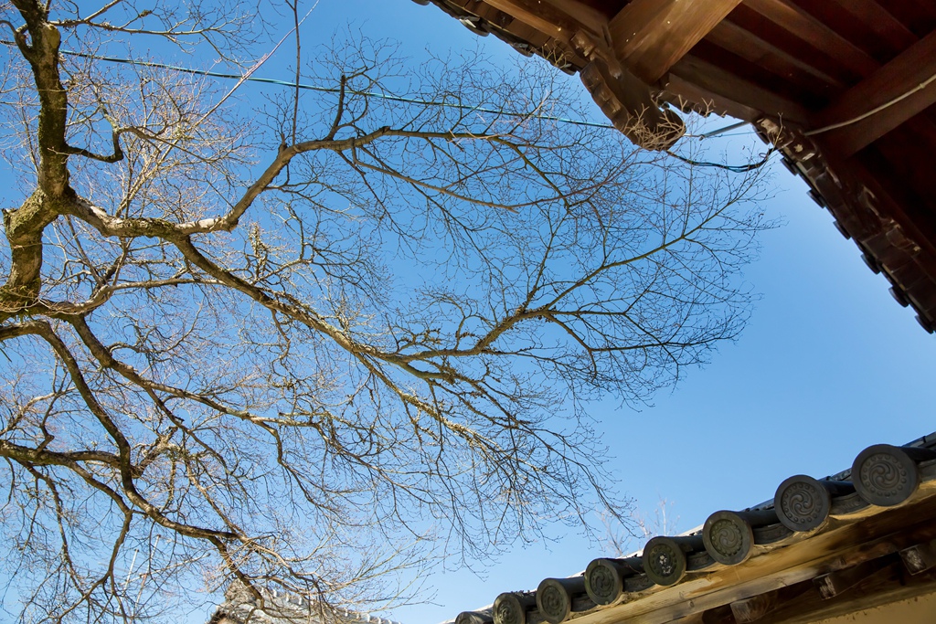 IMG_8811.jpg IMG_8811.jpg